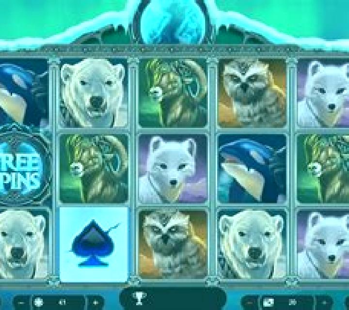 Polar Magic slot