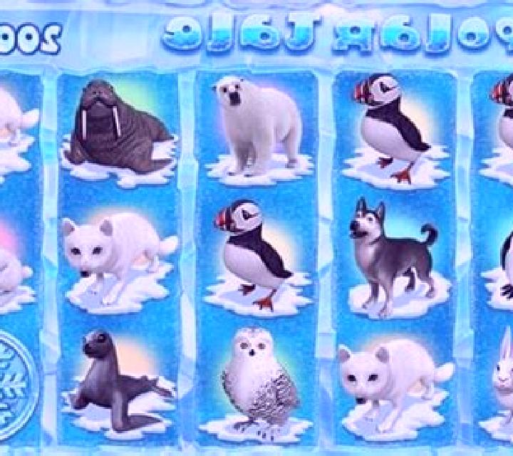 Polar Tale slot
