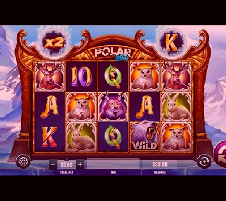 Polar Wilds: Play slot machine