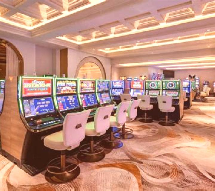 Pontoon Professional Series High Limit slot machine