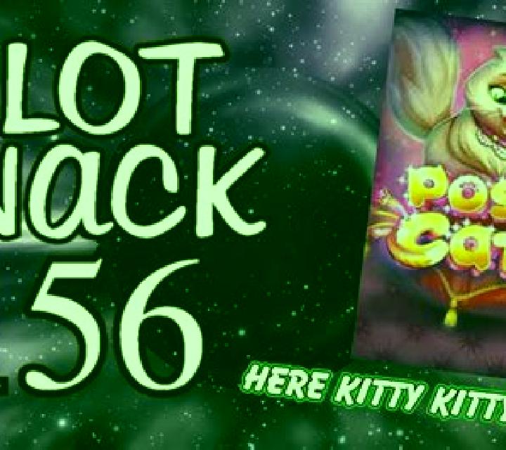 Posh Cats online slot