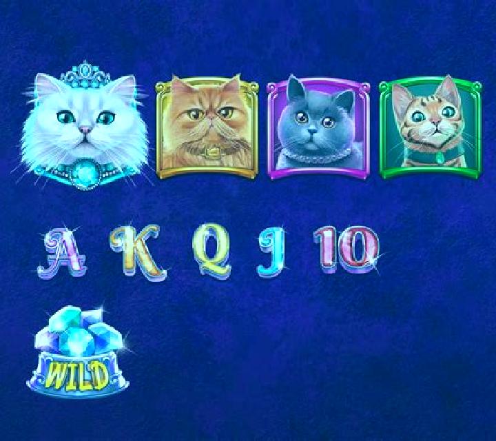 Posh Cats slot game