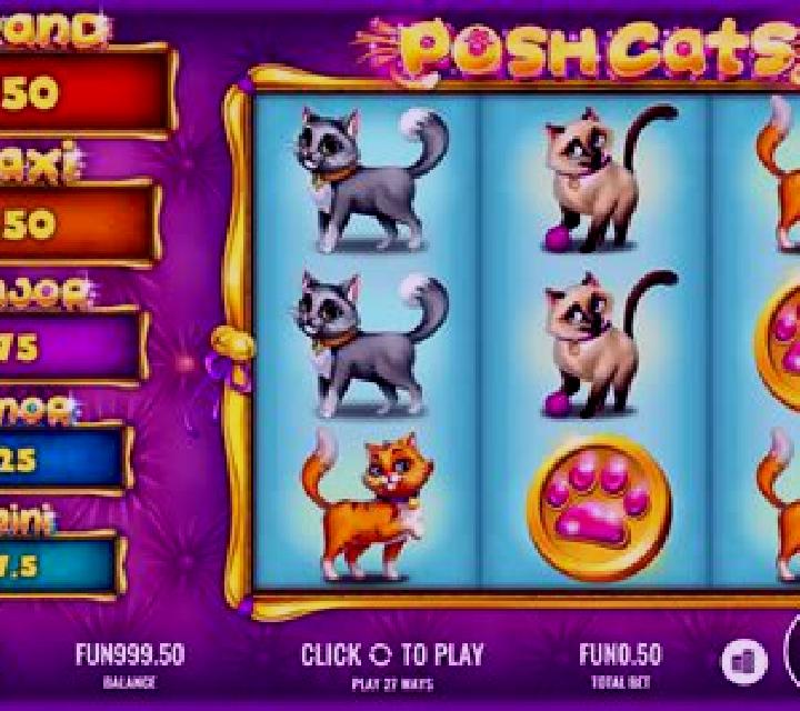 Posh Cats slot