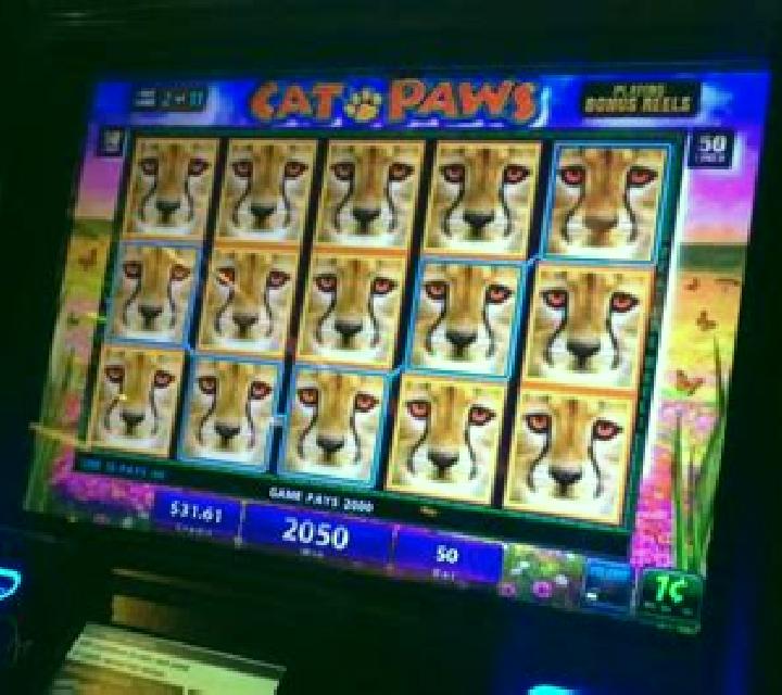 Power Paws slot machine