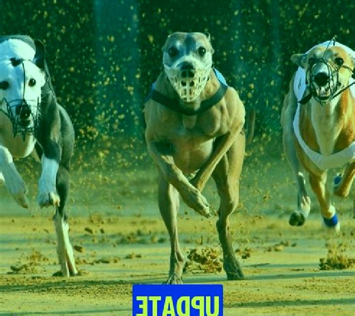Pre-recorded Dog Racing slot game