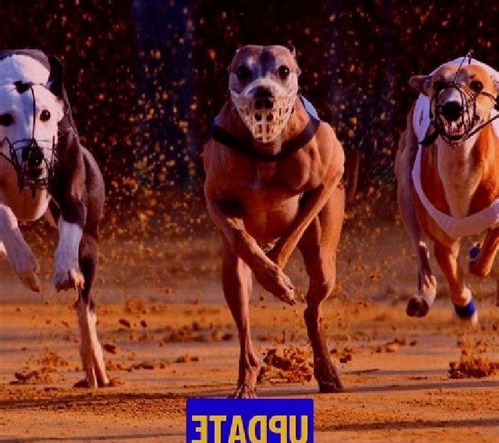 Pre-recorded Dog Racing slot