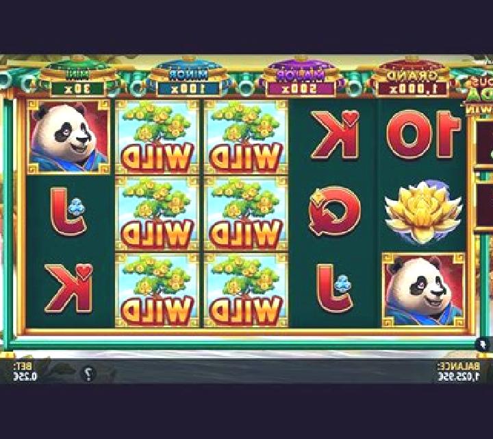 Precious Panda: Hold and Win slot game