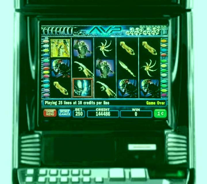 Predator slot game