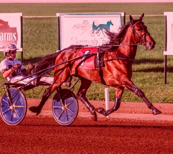 Premier Trotting online slot