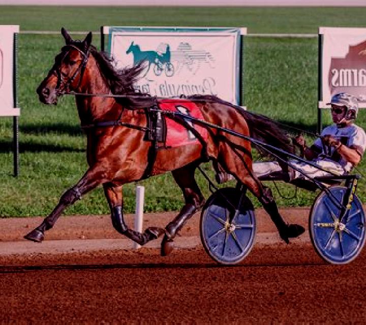 Premier Trotting slot game