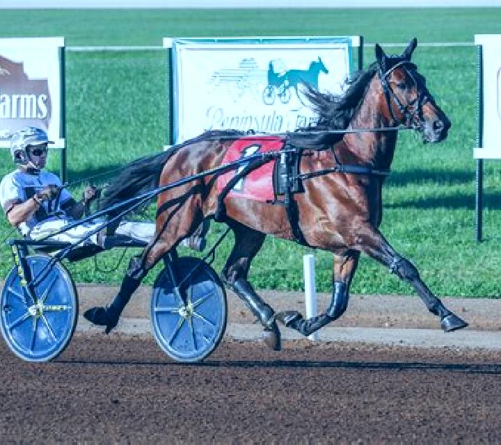 Premier Trotting slot