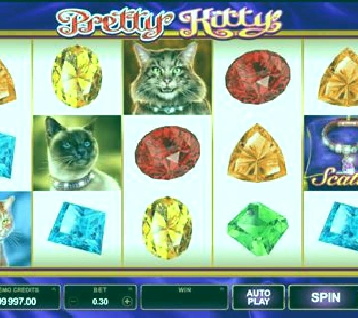 Pretty Kitty slot game
