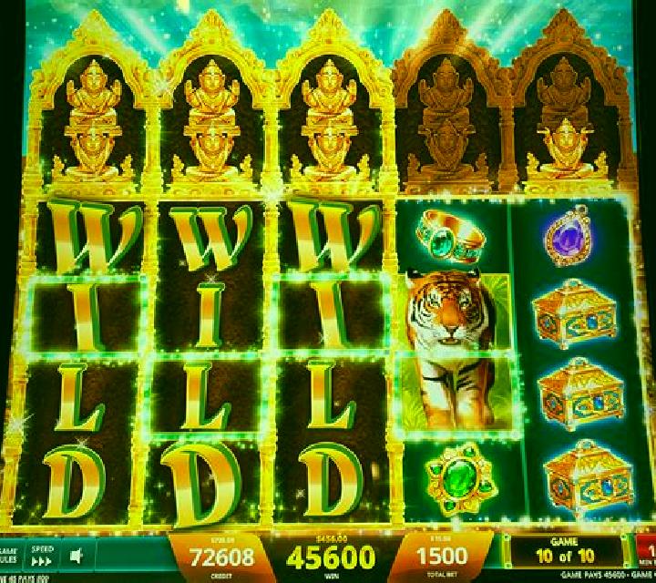 Princess of the Jungle slot machine
