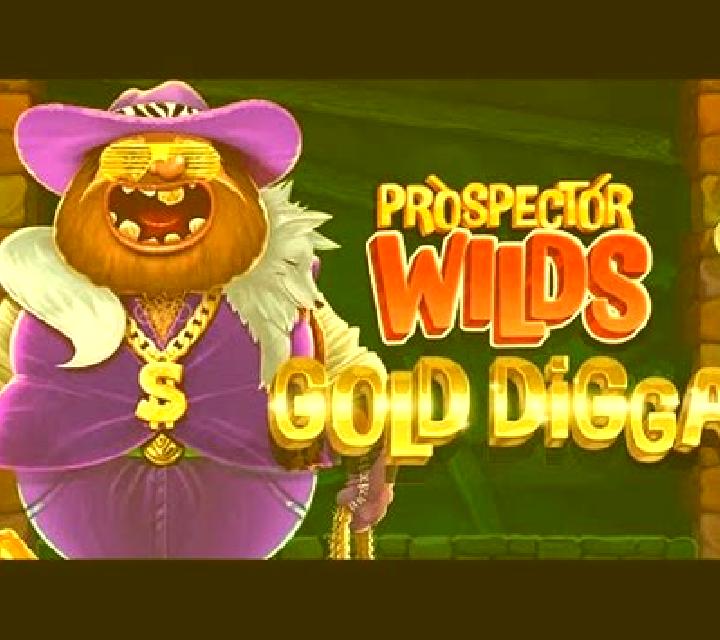 Prospector Wilds Gold Digga slot