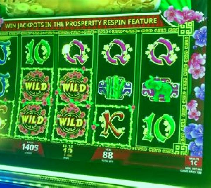 Prosperity Bloom slot machine
