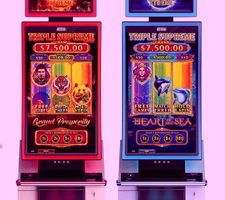 Prosperity Twin slot machine
