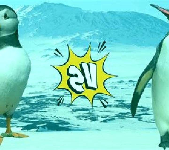 Puffin King online slot