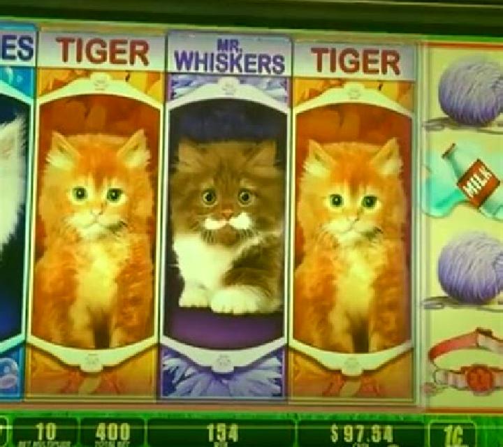 Puppies and Kittens slot game
