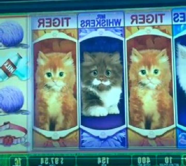 Puppies and Kittens slot machine
