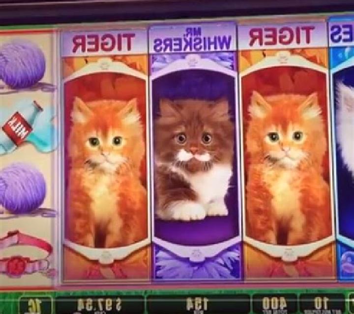 Puppies and Kittens slot