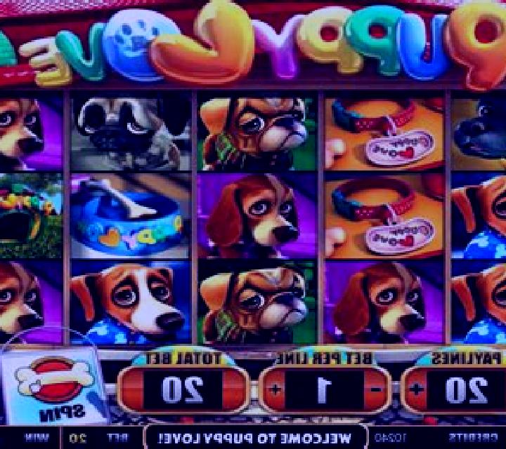 Puppy Love (Betsoft) online slot