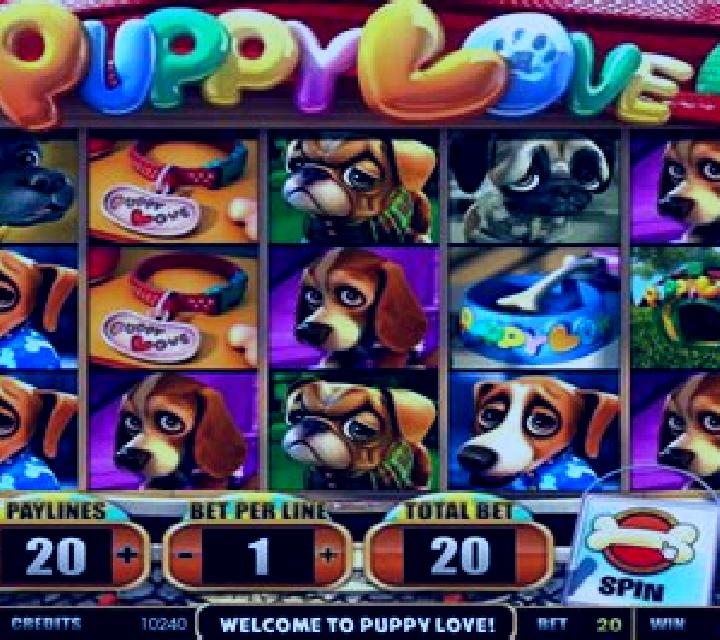 Puppy Love (Betsoft) slot