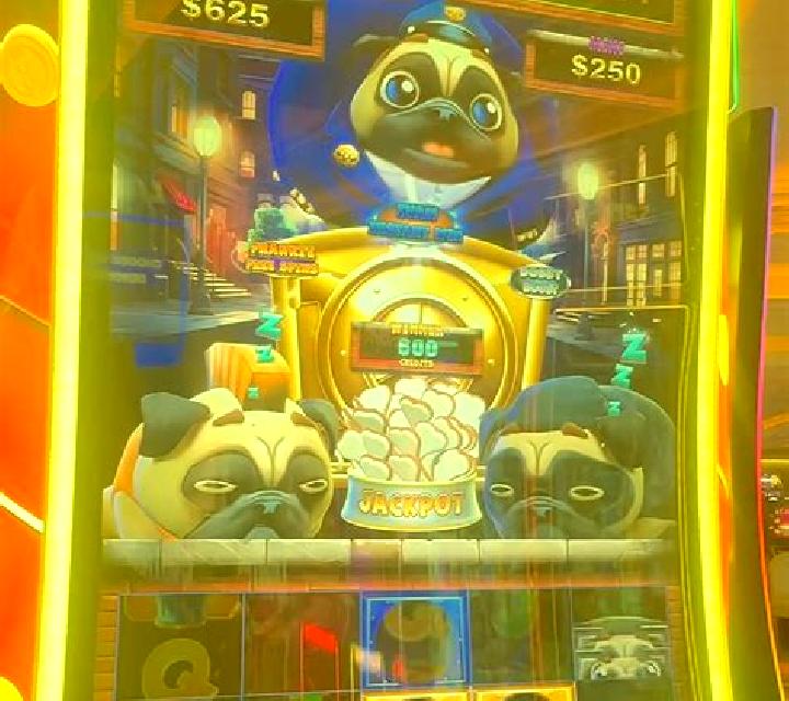 Puppy Payday Scratch slot game