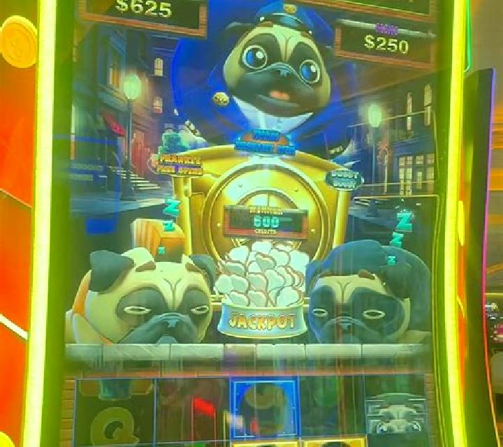 Puppy Payday slot game