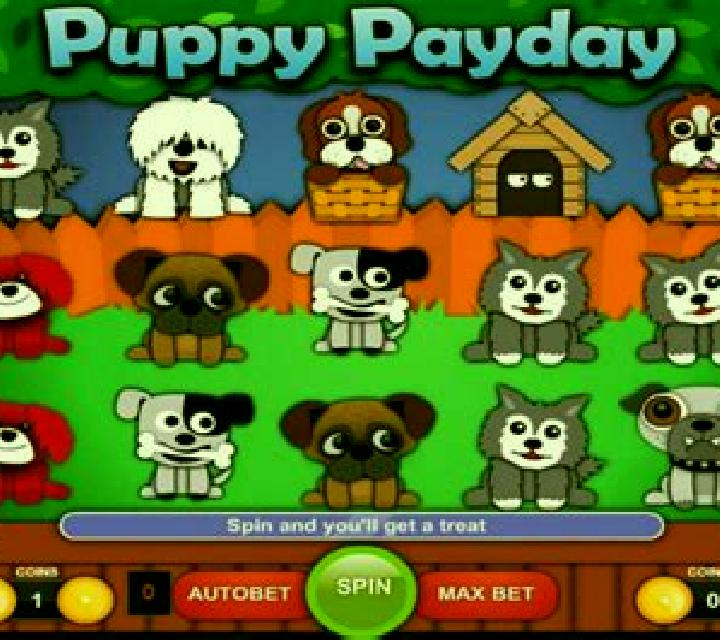 Puppy Payday slot
