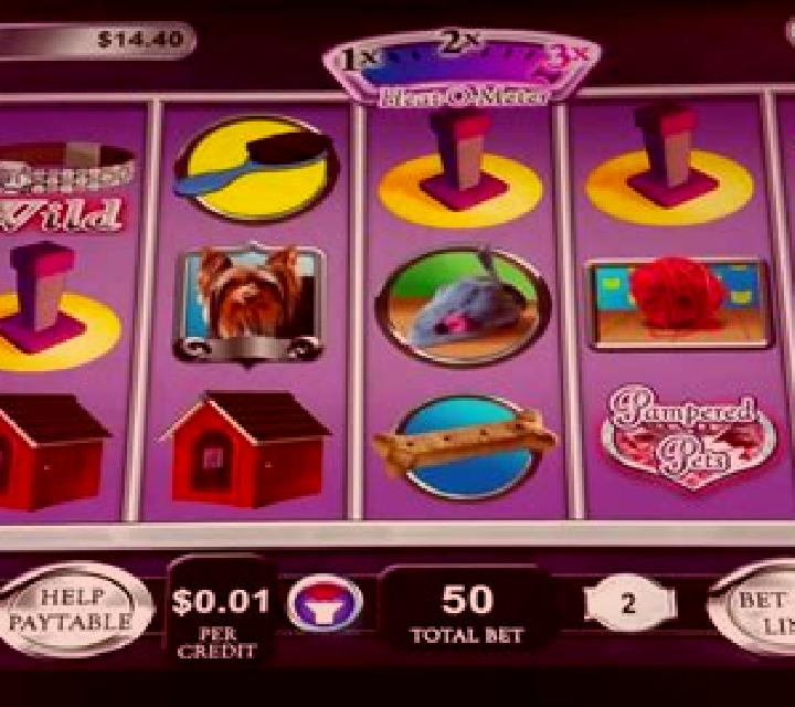 Purrfect Pets slot machine