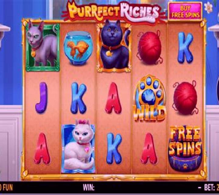 Purrfect Riches slot