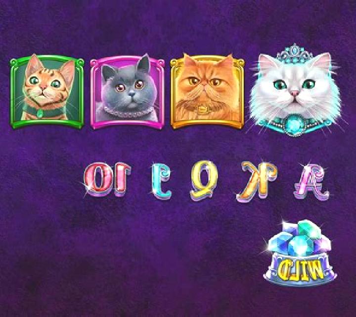 Pussy Cats slot game