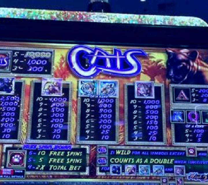 Pussy Cats slot machine