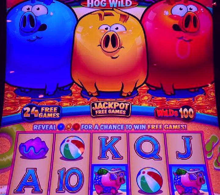 Pyramid Piggies slot machine