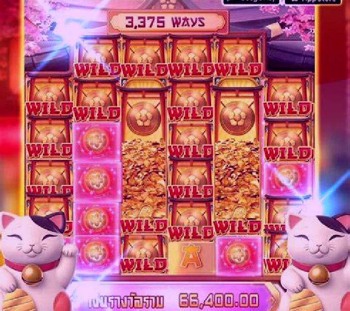 Quad Cat slot game
