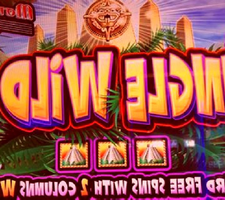 Queen of the Wild II slot machine