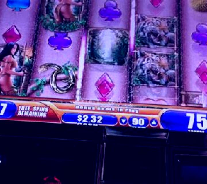 Queen of the Wild slot game