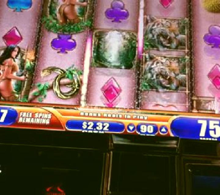 Queen of the Wild slot machine