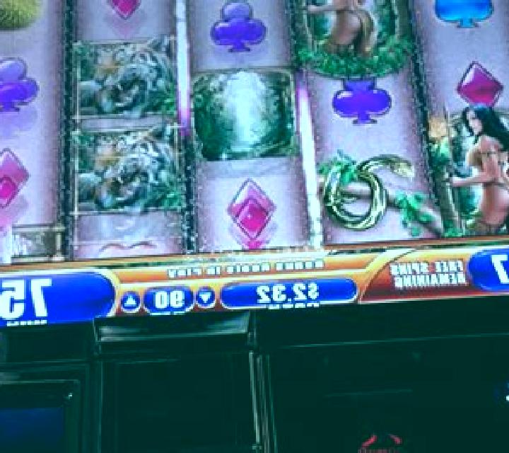 Queen of the Wild slot