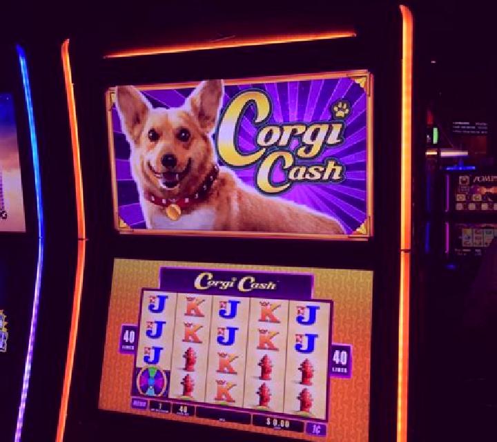 Queen s Corgi slot machine