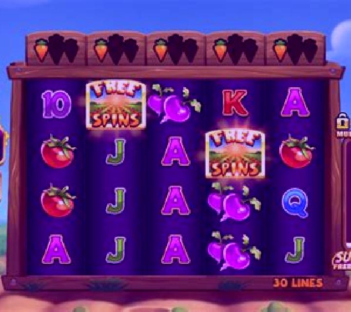 Rabbit Fields slot game
