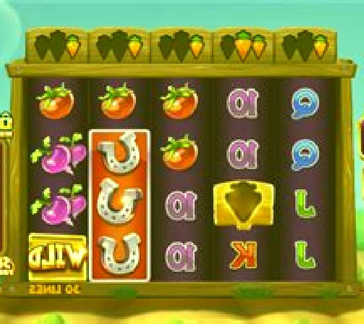 Rabbit Fields slot machine