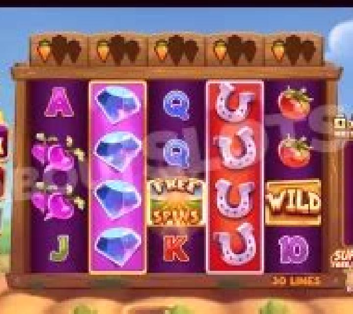 Rabbit Fields slot