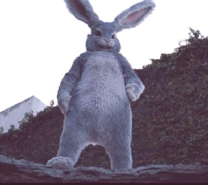Rabbit In The Hat 2 slot