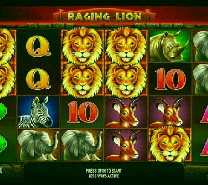 Raging Lion online slot