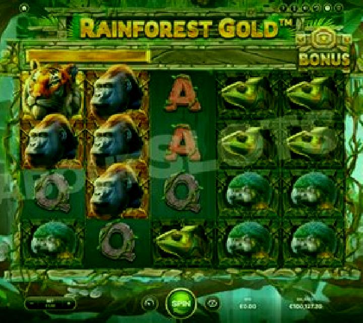 Rainforest Gold slot machine