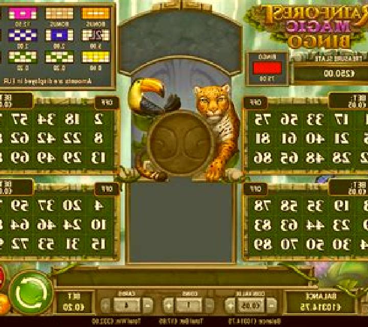 Rainforest Magic Bingo slot