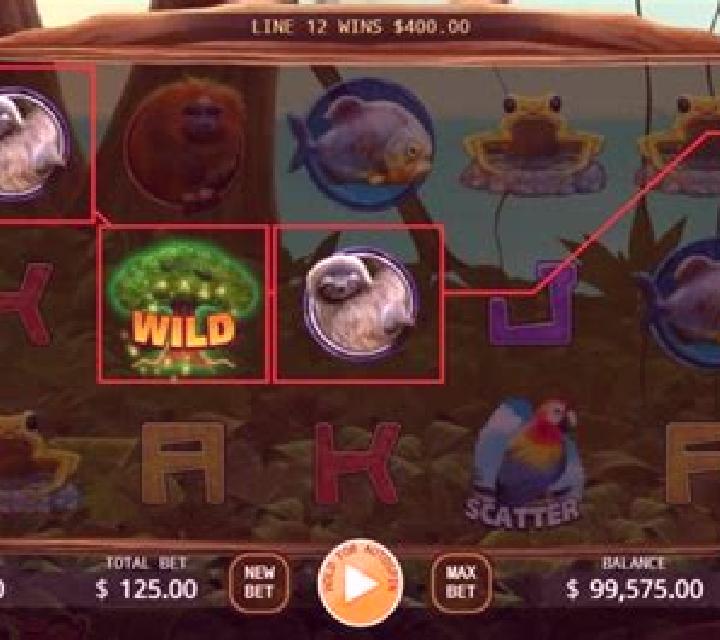Rainforest online slot