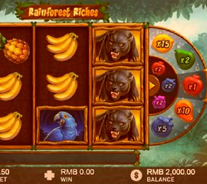 Rainforest Riches slot