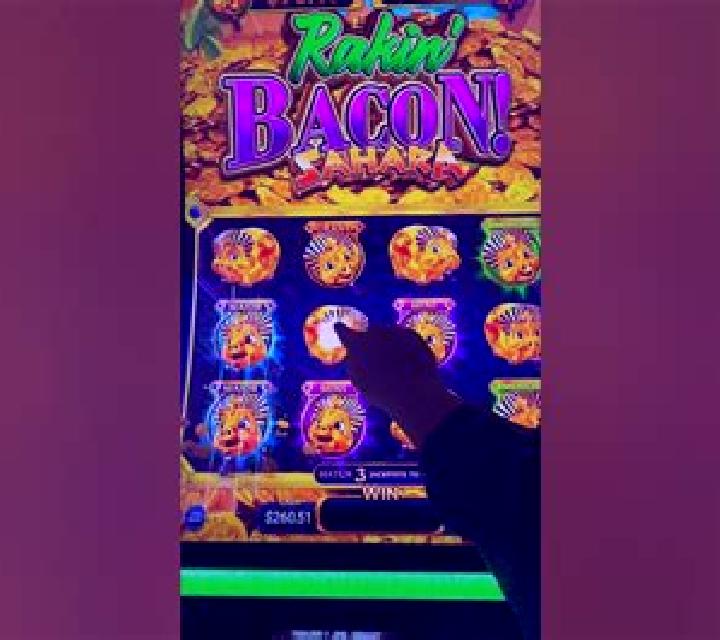 Rakin Bacon Sahara slot machine